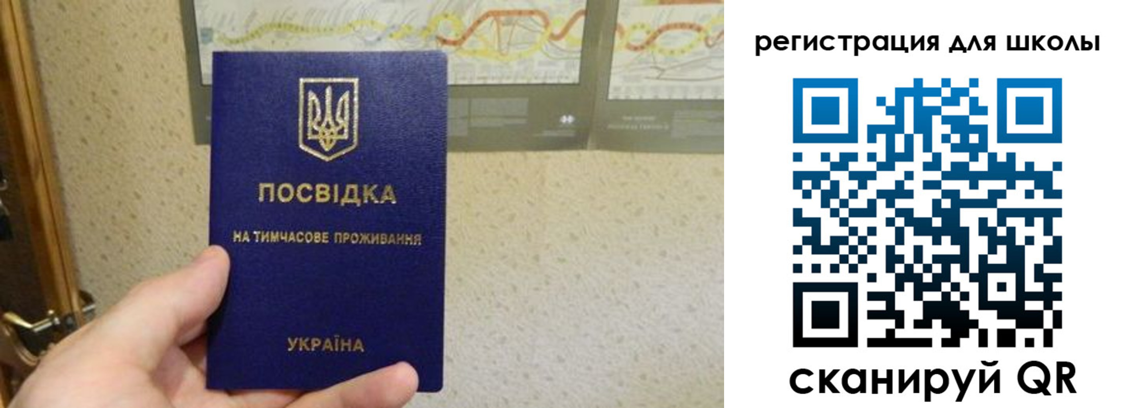 временная прописка в Похвистнево